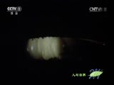 人与自然 《人与自然》 20150409 自然发现：自然影片拍摄纪实（中）