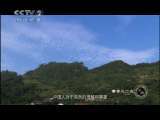 地球密码（周末精编节目） 周末精编节目 2010年 第140期