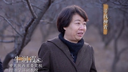 寻找柳青
