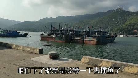 南澳岛赶海日记 出海捕鱼，信息时代了渔民还要在岸边等船老大人工通知，有何讲究