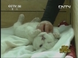 新闻袋袋裤 《新闻袋袋裤》 20131010