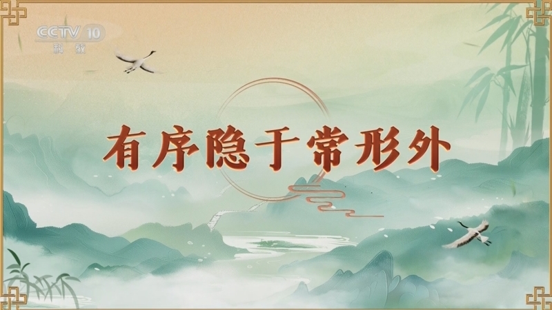 百家讲坛 《百家讲坛》 20250306 延年益寿话养生（第一部） 5 有序隐于常形外