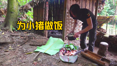 原始丛林人苏门答腊 第二季 荒野大神在野外生活，外出几天没回家，小猪们饿坏了
