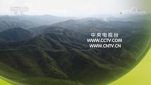 探索发现 《探索发现》 20181106 南粤古驿道（三）广陌重生