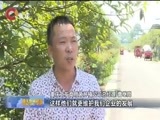 重庆新闻联播 《重庆新闻联播》 20170713