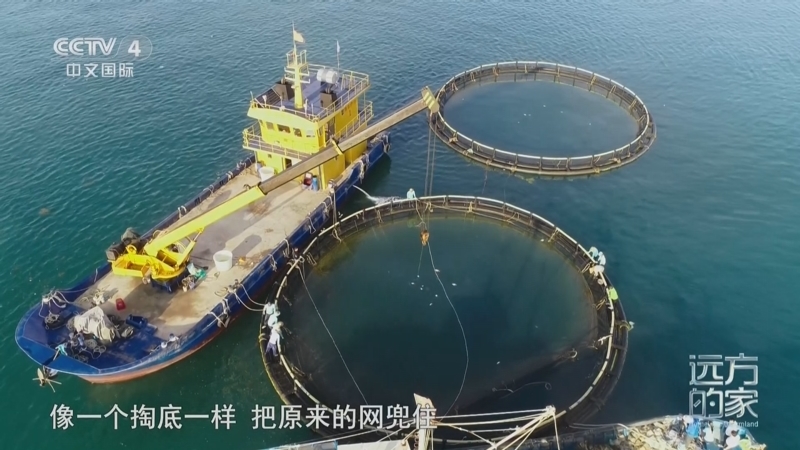 远方的家 《远方的家》 20250807 海与城的交响 海岛上的蓝色粮仓
