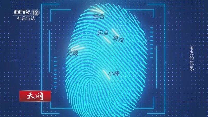 天网 《天网》 20260708 消失的假象