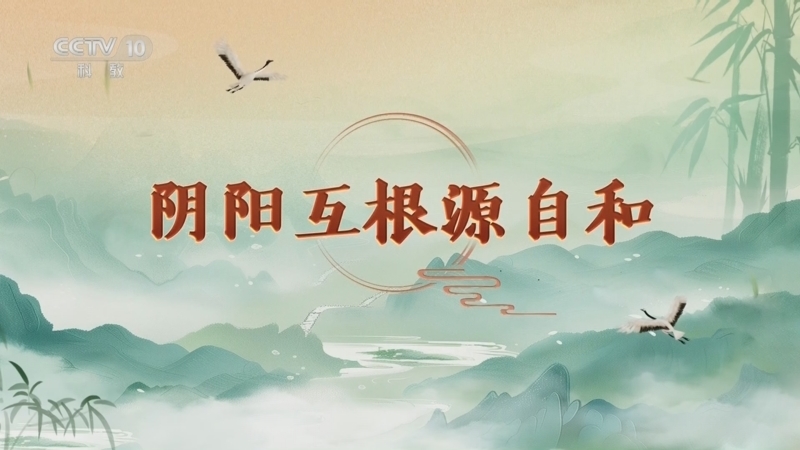 百家讲坛 《百家讲坛》 20250309 延年益寿话养生（第一部） 8 阴阳互根源自和