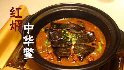 觅食迹 鳖说话，快吃我！