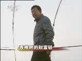 生财有道 [生财有道]香椿树的财富链(20120424)