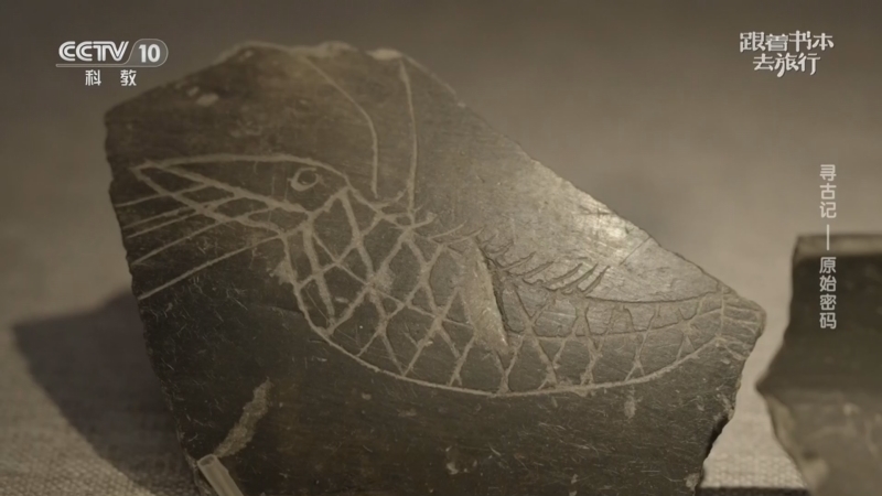 《跟着书本去旅行》 20260109 寻古记——原始密码
