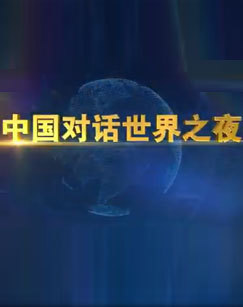 中国对话世界之夜 海报