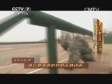 谁是终极英雄 《谁是终极英雄》 20141221 2014年度观众最喜爱的终极英雄评选（2）