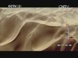 动物世界 《动物世界》 20140224 寻找最美动物家园（六）