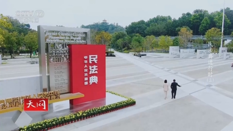 天网 《天网》 20220302 系列纪录片《民法典进行时》（3）