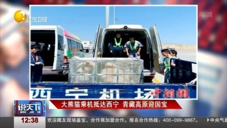 说天下 大熊猫乘机抵达西宁 青藏高原迎国宝