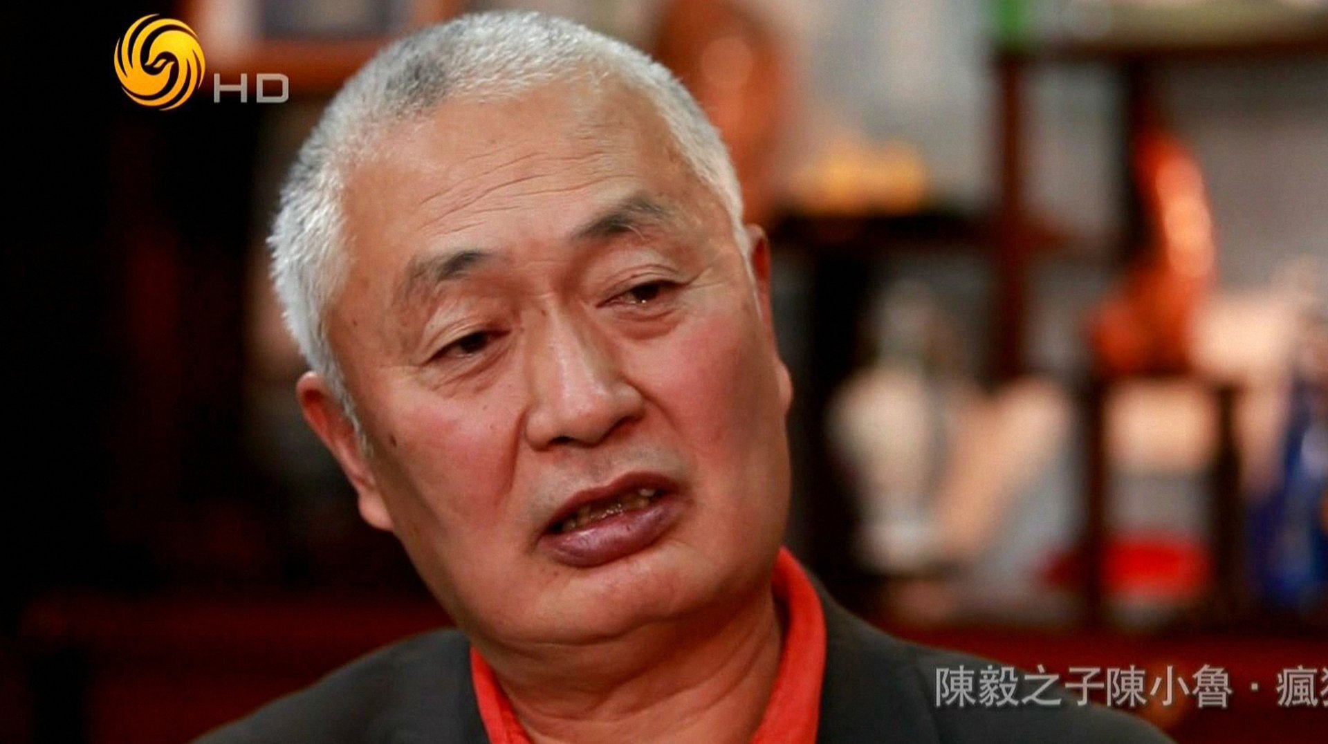鲁豫有约 陈毅之子陈小鲁的疯狂岁月