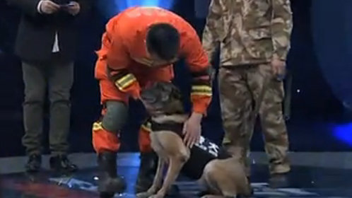 故事中国 周末版 即将退伍老兵流泪感谢警犬