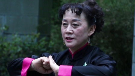 南拳之套路一讲解