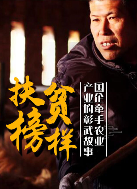 扶贫榜样