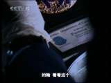 天网 与危险同眠
