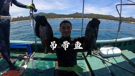 组团潜水碰到海浪鱼群