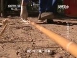 走近科学 《走近科学》 20150202 动物武林大会
