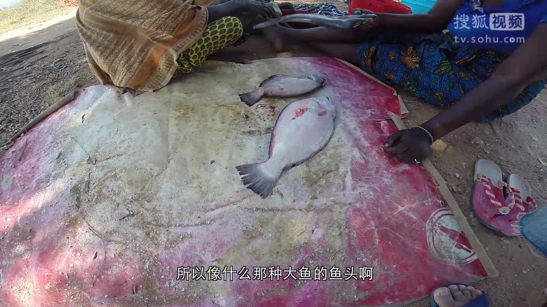 我要去旅行 第31集 我在非洲玩捕鱼达人