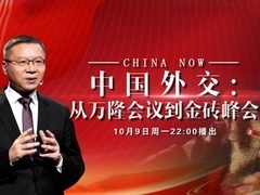 这就是中国 中国外交：从万隆会议到金砖峰会