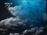 人与自然 《人与自然》 20110608 自然发现——犬科动物