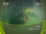 地理中国 《地理中国》 20170502 神秘的天湖（下）