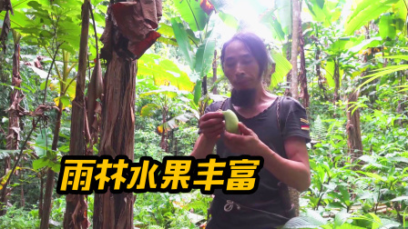 原始丛林人苏门答腊 第二季 独自穿梭在热带雨林，水果太丰富了，吃饱了还摘了一筐