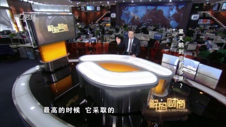 解码财商 黑天鹅到底有多黑? 160331