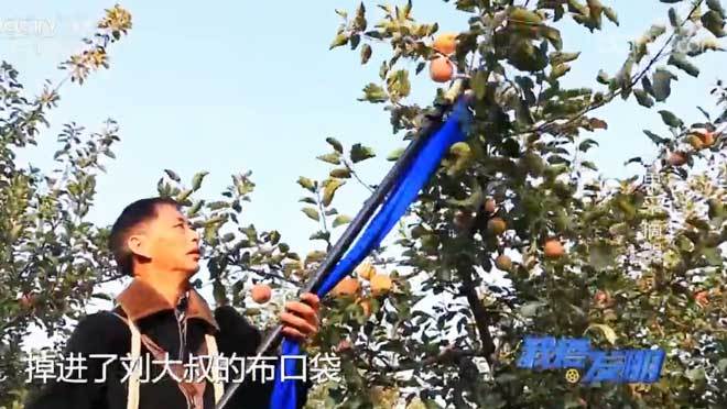 我爱发明 《我爱发明》 20200115 水果采摘器