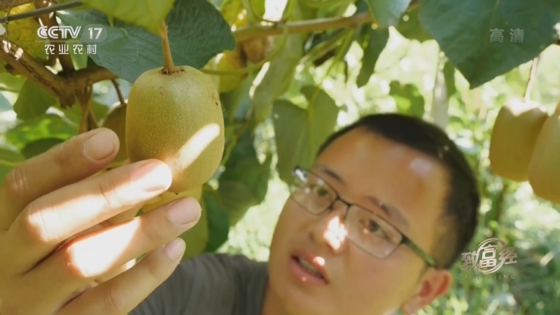 致富经 《致富经》 20220628 那年毕业季 巧聚资金来