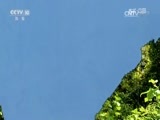 地理中国 《地理中国》 20170511 湖州秘影