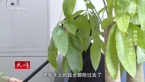 天网 《天网》 20200528 特殊使命 终结诈骗