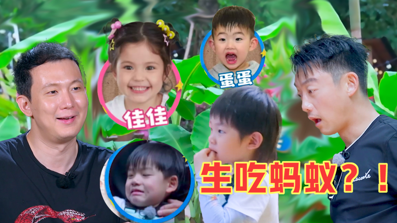 我们的爸爸 第8期：霸总儿子生吃活蚂蚁，亲爹看呆！