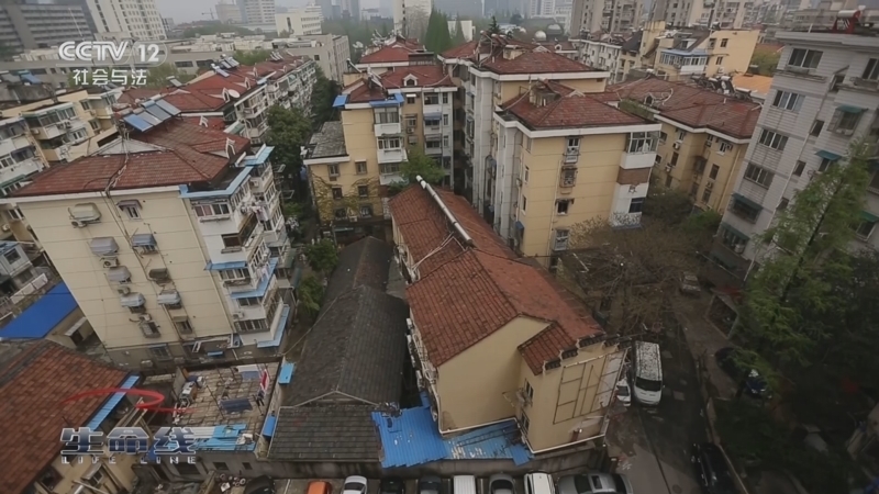 生命线 《生命线》 20240403