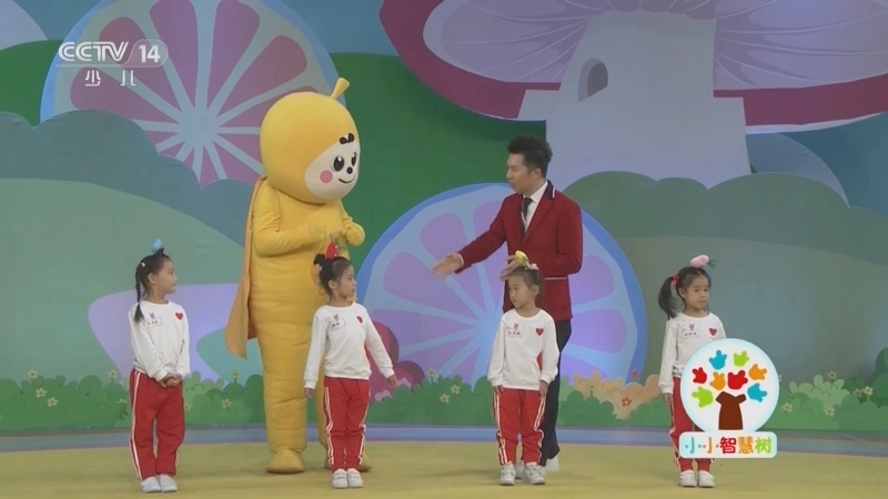 小小智慧树 《小小智慧树》 20230609