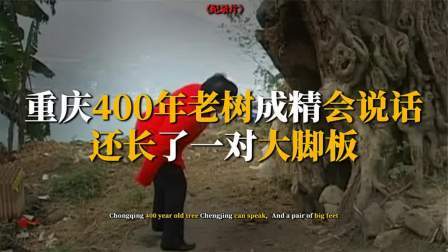 考古新发现第二季 重庆百年古树成精 下，不仅会开口说人话，还长出一双大脚板
