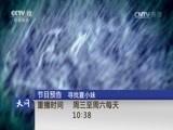 天网 《天网》 20170216 床下有“鬼”