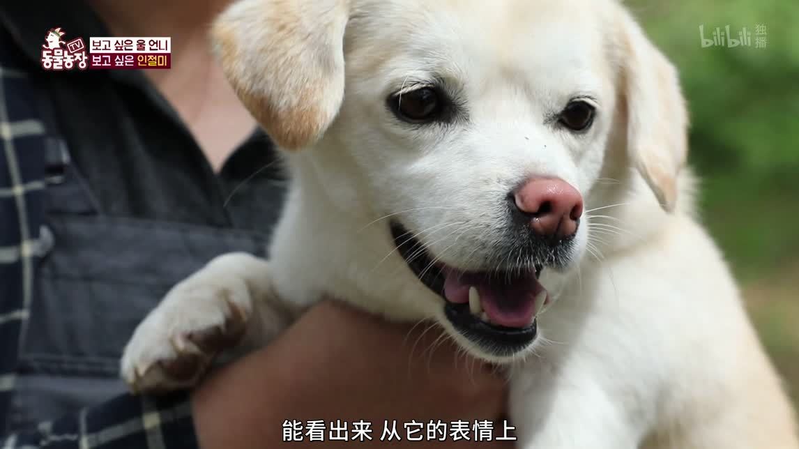 寻收养处三万里