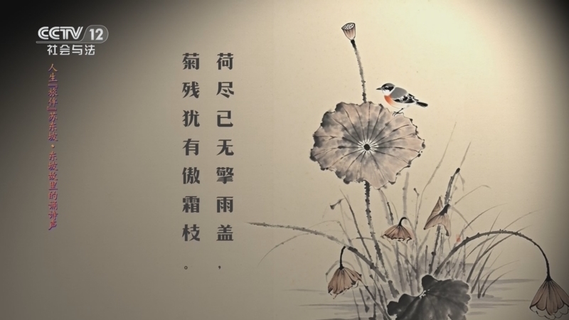 《心理访谈》 20251227 人生“旅伴”苏东坡·东坡故里的诵诗声