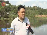 重庆新闻联播 《重庆新闻联播》 20170505
