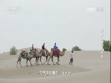 沙漠中的千岛湖 《时代》 20161224 沙漠中的千岛湖
