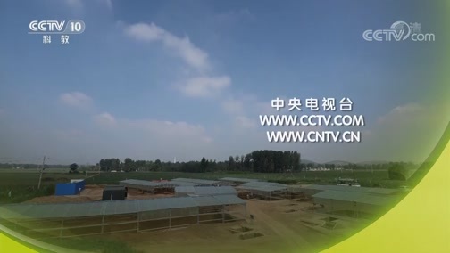 探索发现 《探索发现》 20181015 2018考古进行时 第三季 滕州战国古墓