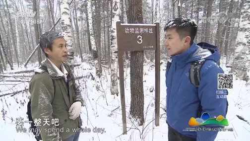 远方的家 《远方的家》 吉林长白山国家级自然保护区 火山造就的动植物宝库 20190122