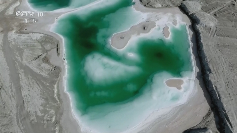 《地理·中国》 20260412 高原上的故事11