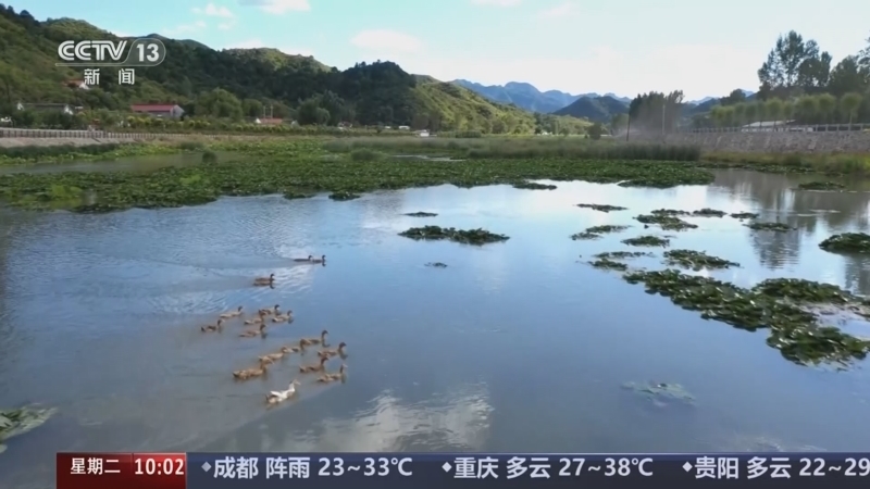 新闻直播间 《新闻直播间》 20260728 10:00